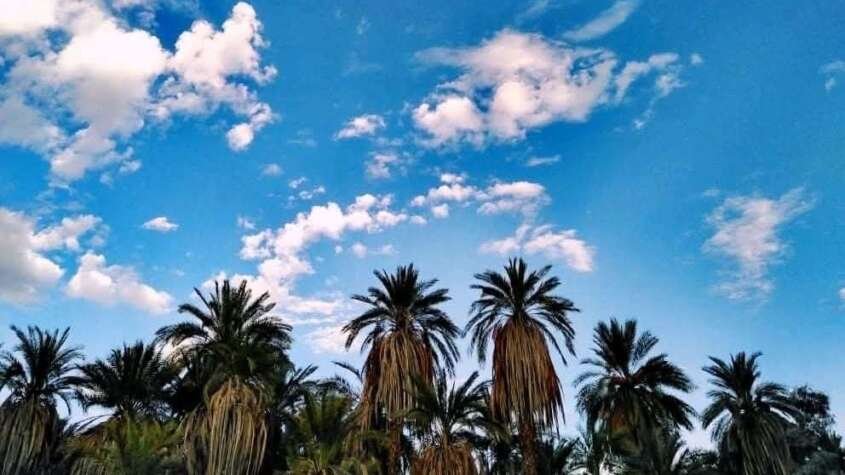 لجنة أمن الشمالية: ما ظهر في سماء دنقلا أجسام مضيئة وليست مسيرات لجنة أمن الشمالية: ما ظهر في سماء دنقلا أجسام مضيئة وليست مسيرات