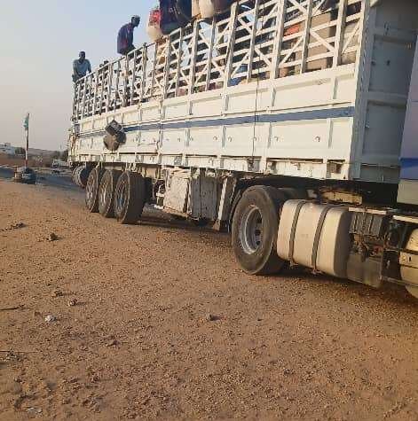 الخلية الأمنية ترحل 150 جنوبياً و500 اثيوبي من محلية وادي حلفا الخلية الأمنية ترحل 150 جنوبياً و500 اثيوبي من محلية وادي حلفا